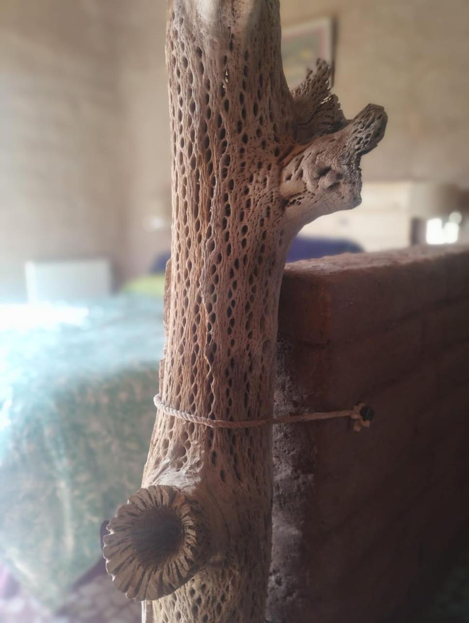 Las Ranas Tilcara Exterior foto